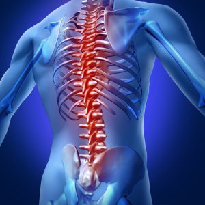 3D image of spine